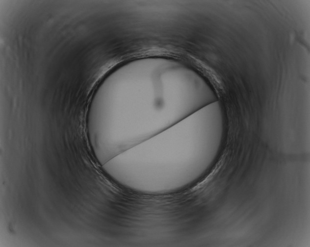 X0000097641170200802290815