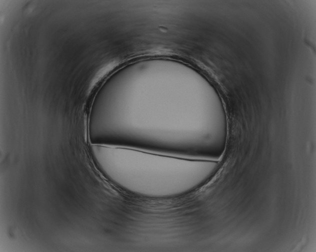 X0000097641171200802290815