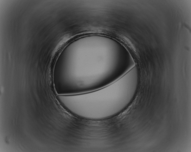 X0000097641172200802290815