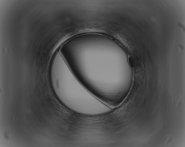 X0000097641173200802290815