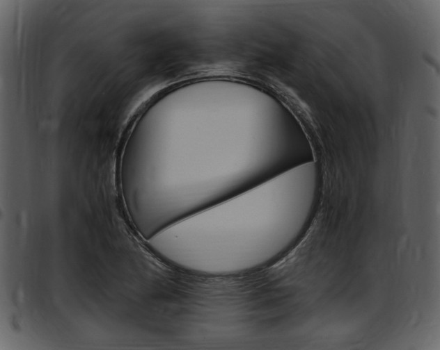X0000097641174200802290815