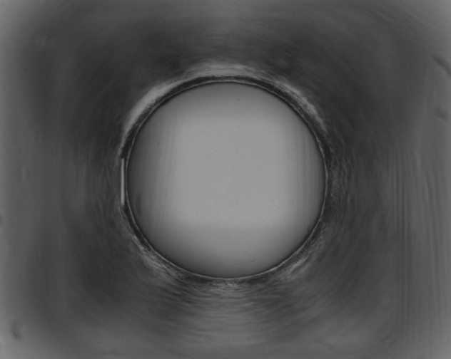 X0000097641175200802290815