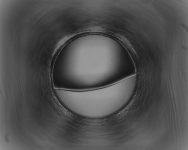 X0000097641176200802290815