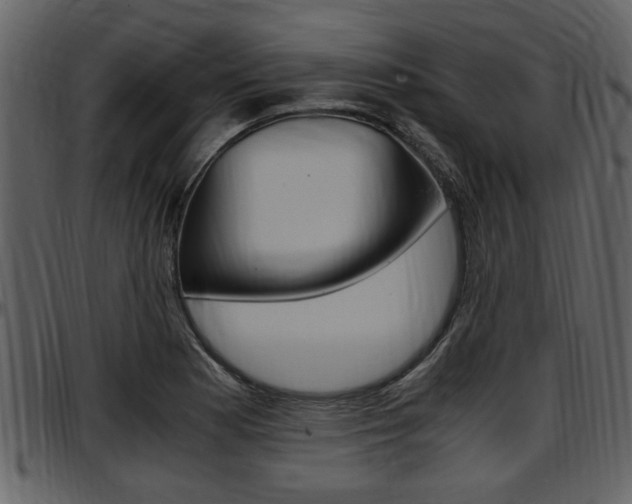 X0000097641177200802290815