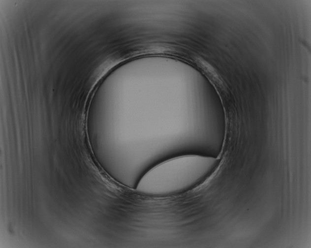 X0000097641178200802290815