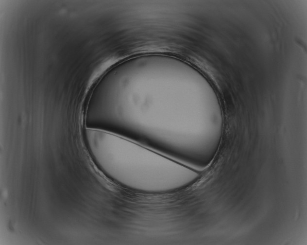 X0000097641179200802290815