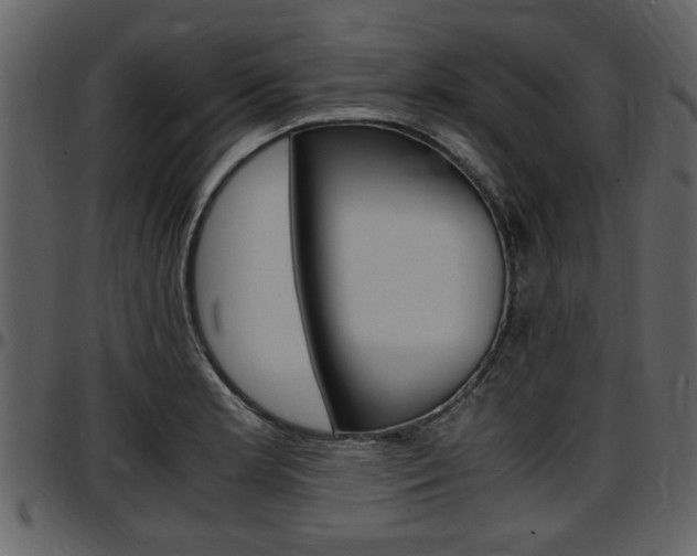 X0000097641181200802290815