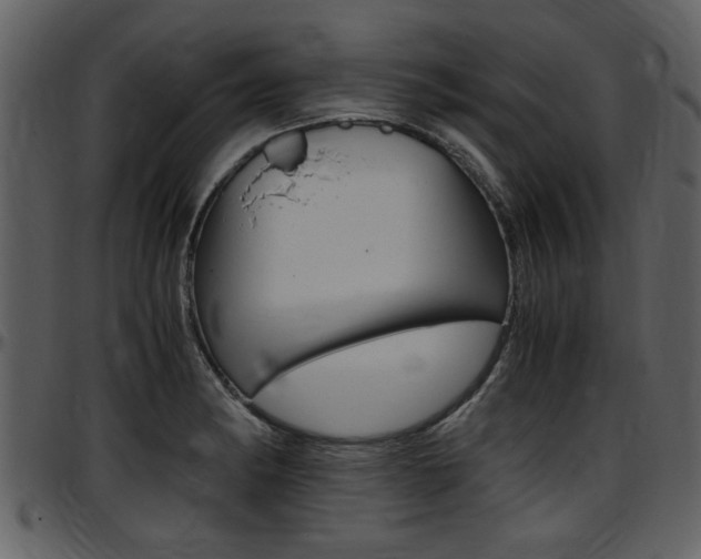 X0000097641182200802290815