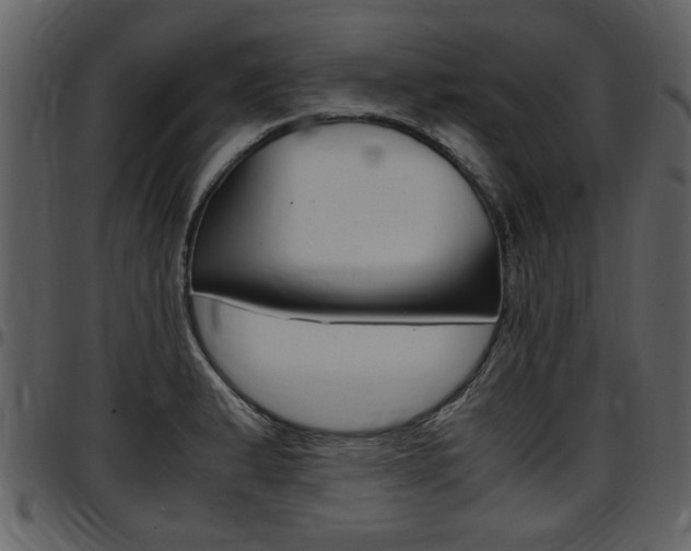 X0000097641183200802290815