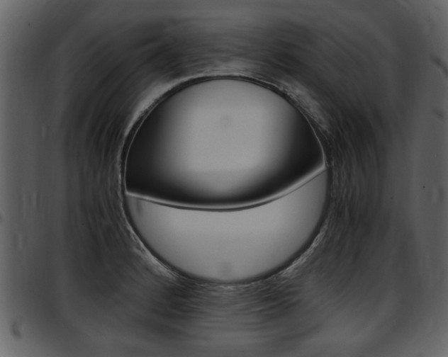 X0000097641184200802290815