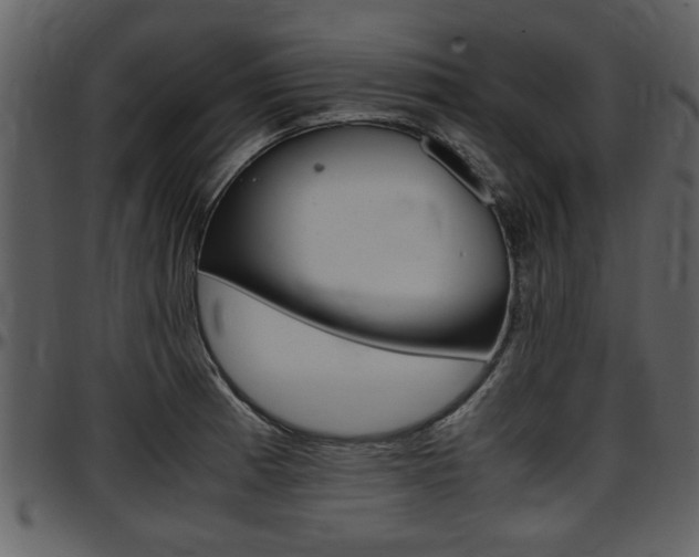 X0000097641185200802290815