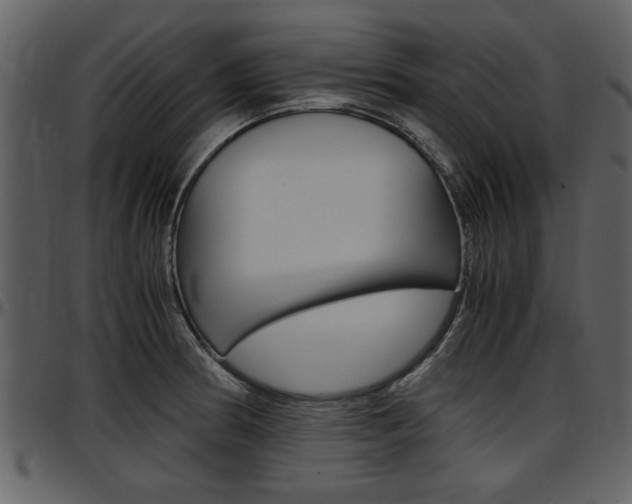 X0000097641186200802290815