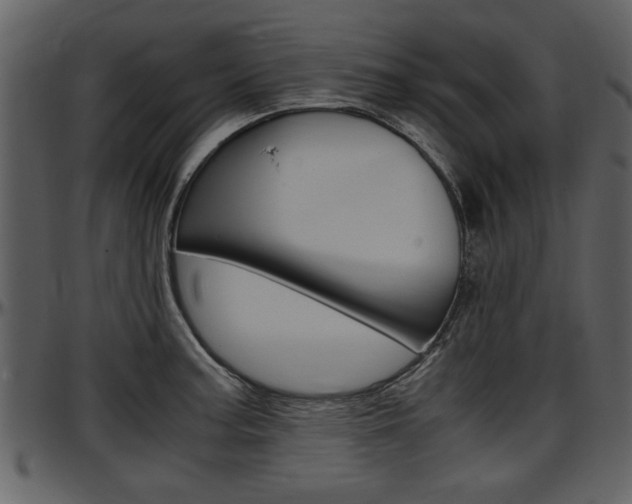 X0000097641187200802290815