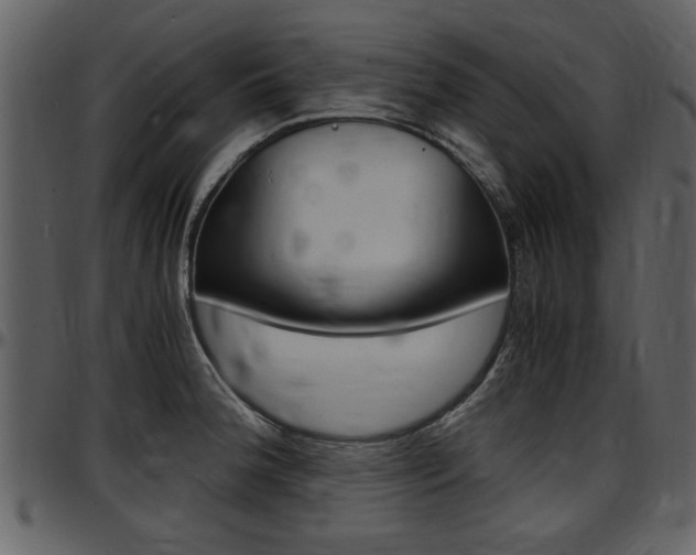 X0000097641188200802290815