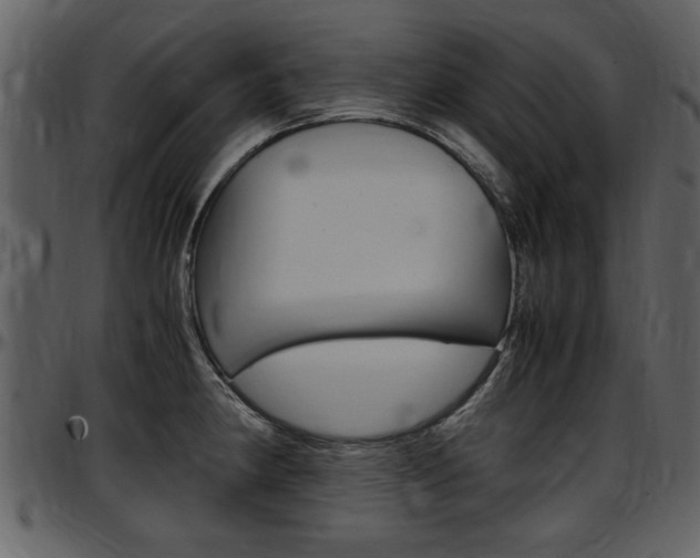 X0000097641190200802290815