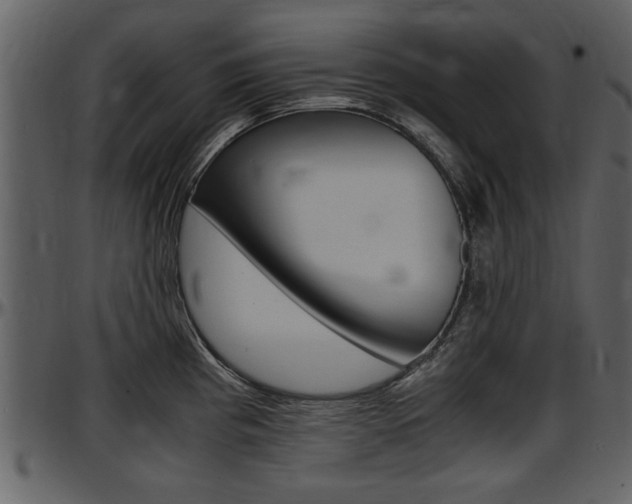 X0000097641193200802290815