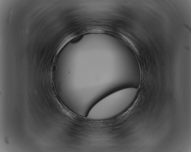 X0000097641194200802290815