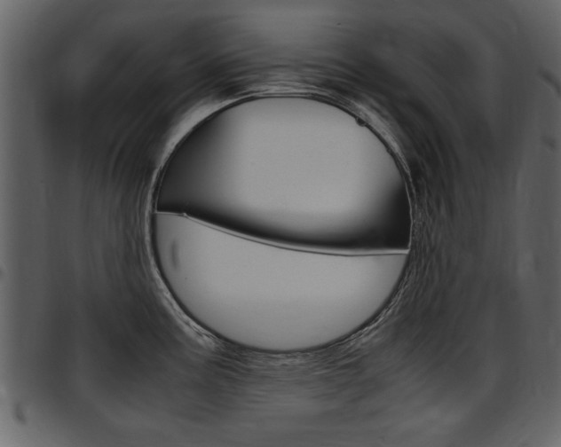 X0000097641195200802290815