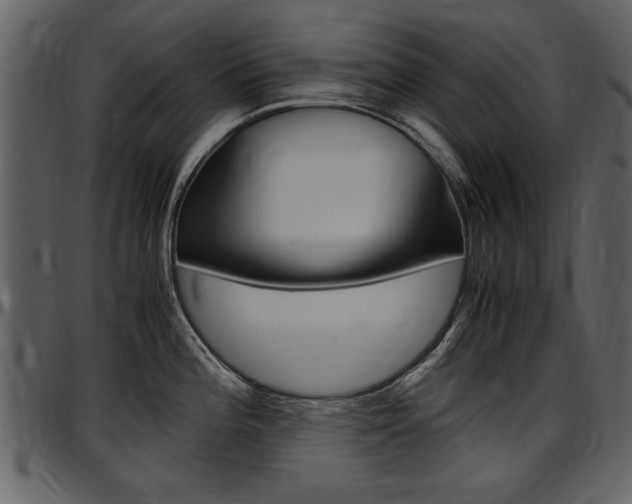 X0000097641196200802290815
