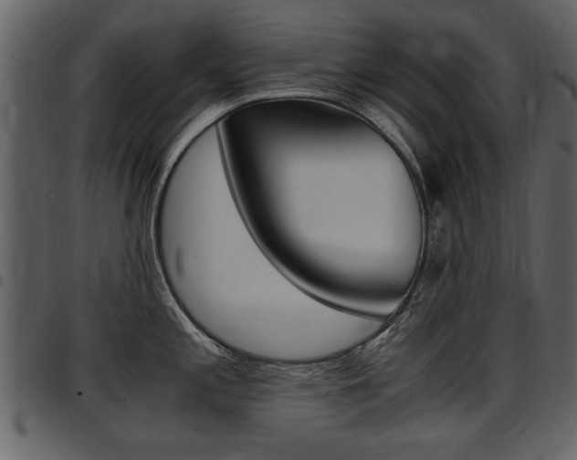 X0000097641197200802290815