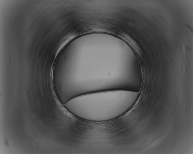 X0000097641198200802290815