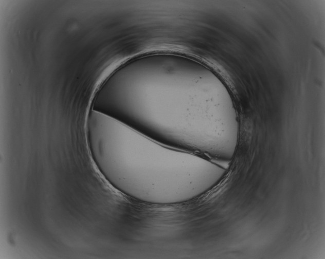 X0000097641199200802290815