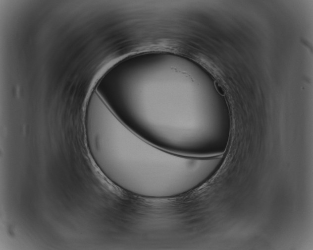 X0000097641200200802290815