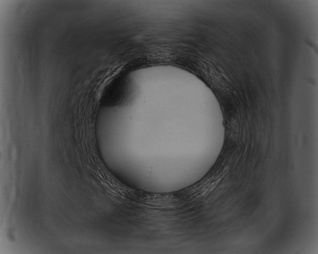 X0000097641201200802290814
