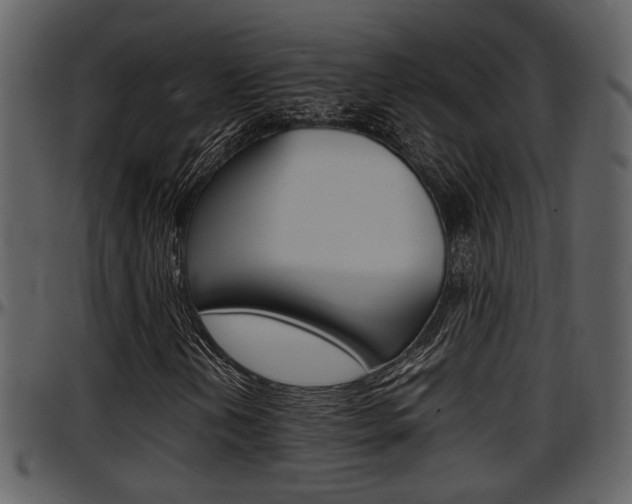 X0000097641202200802290814