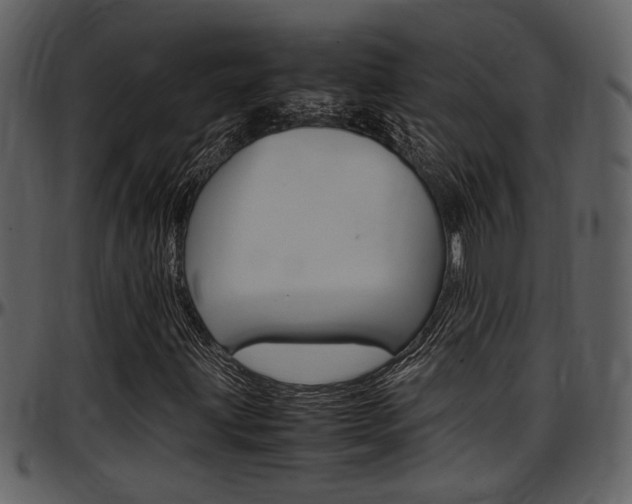 X0000097641203200802290814