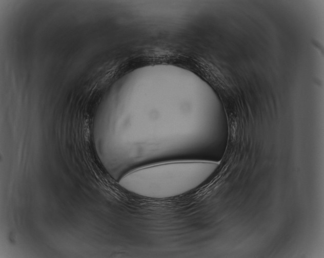 X0000097641204200802290814