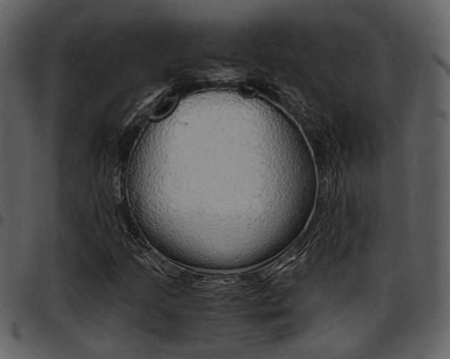 X0000097641205200802290814