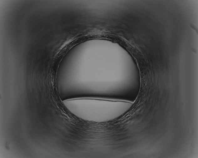 X0000097641206200802290814