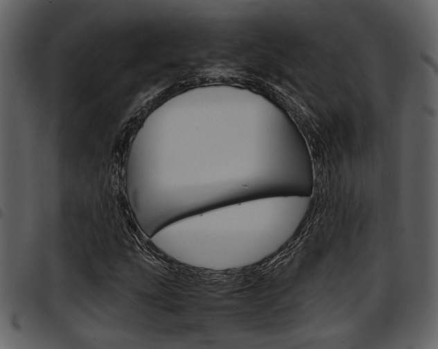 X0000097641207200802290814