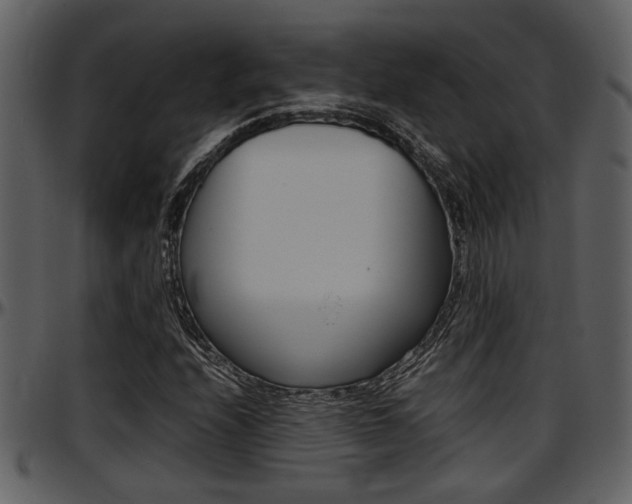 X0000097641208200802290814