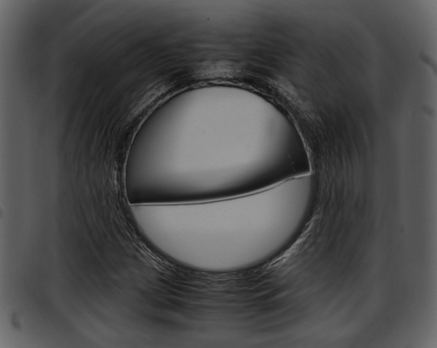 X0000097641209200802290814