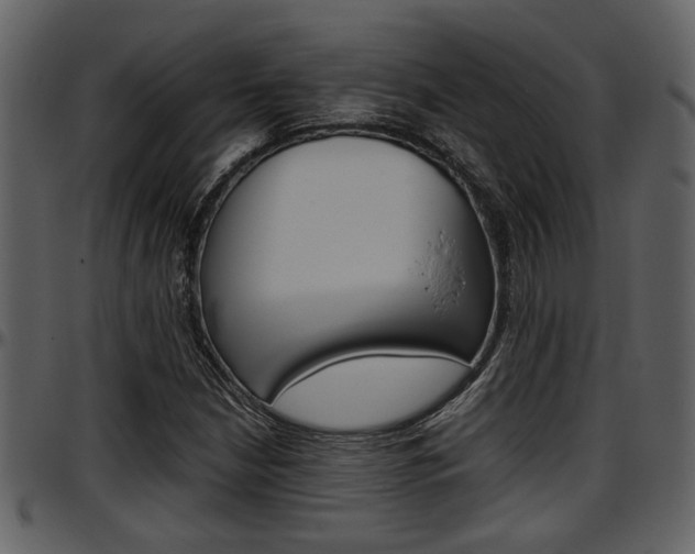 X0000097641210200802290814