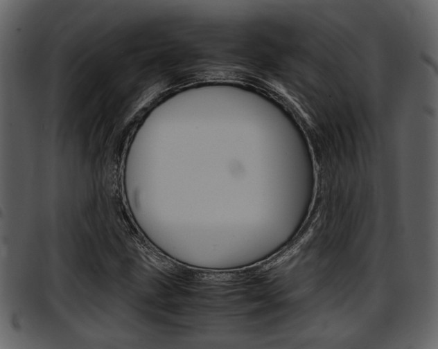 X0000097641211200802290814