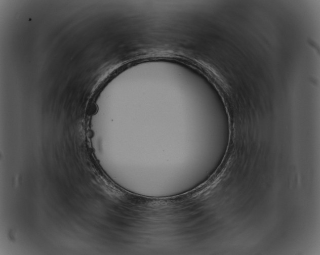 X0000097641212200802290814