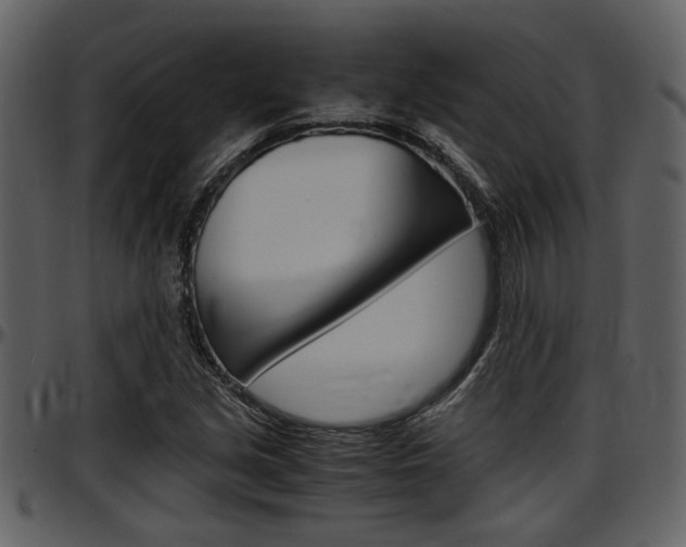 X0000097641213200802290814