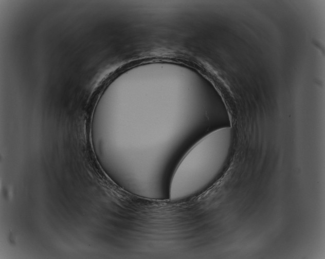 X0000097641214200802290814