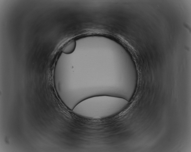 X0000097641215200802290814