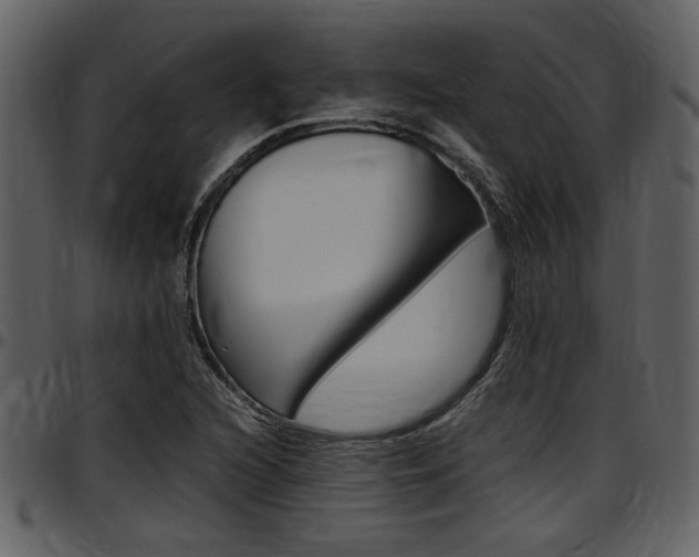 X0000097641216200802290814