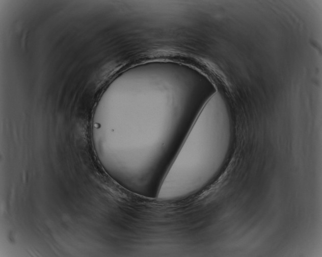 X0000097641217200802290814