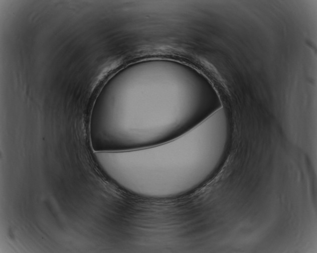 X0000097641218200802290814