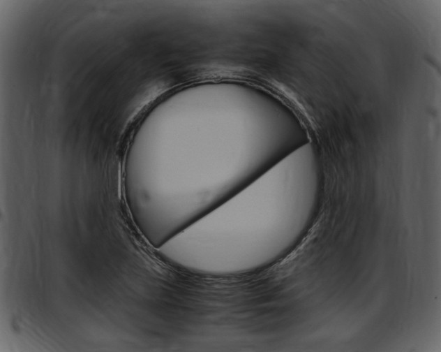 X0000097641219200802290814