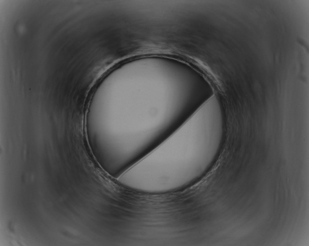 X0000097641220200802290814
