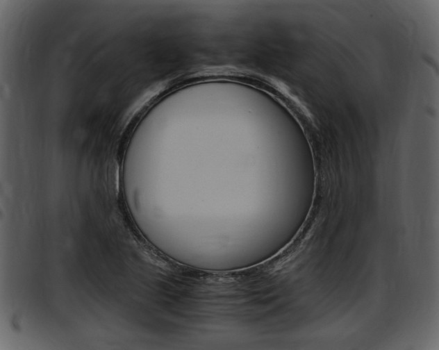 X0000097641221200802290814