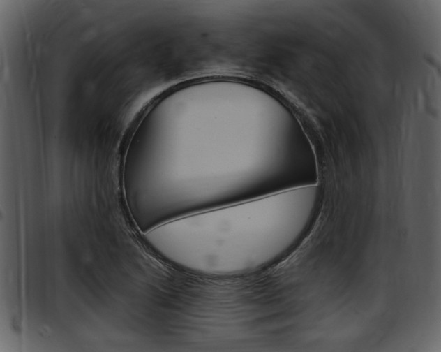 X0000097641222200802290814