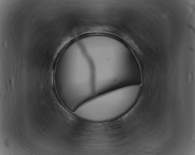 X0000097641224200802290814